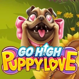 Go High Puppy Love online slot from RubyPlay – play at casinolyra.bet
